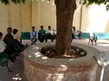 161. Jaipur 11